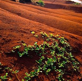 Xbox发布会：《深海迷航2》将于2025年推出抢先体验